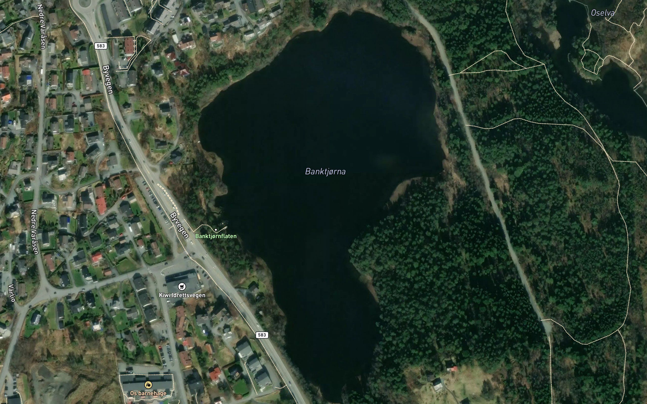 Blanktjorna