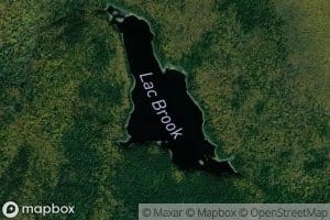 Lac Brook