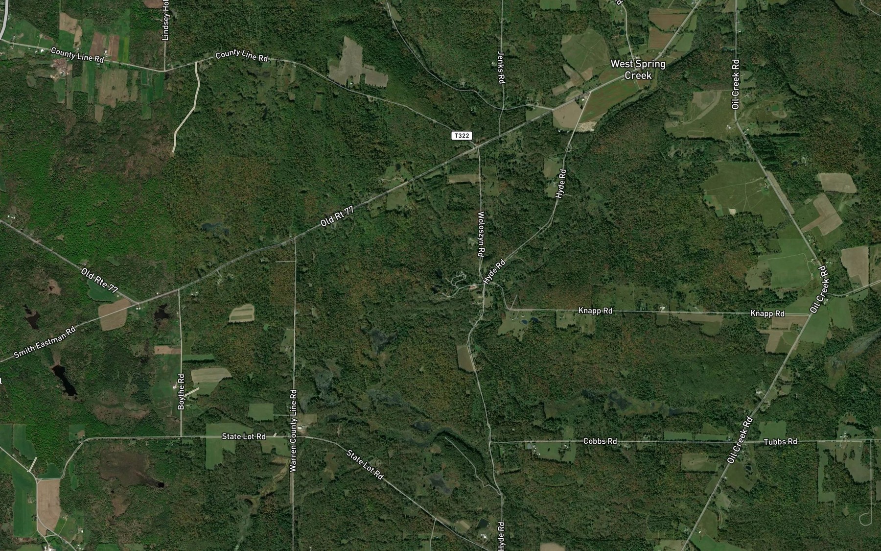 Satellite map of the Hemlock Lakes