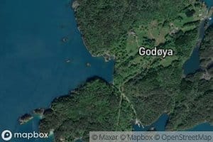 Godoyvika