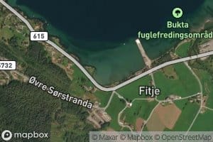 Fitjevika