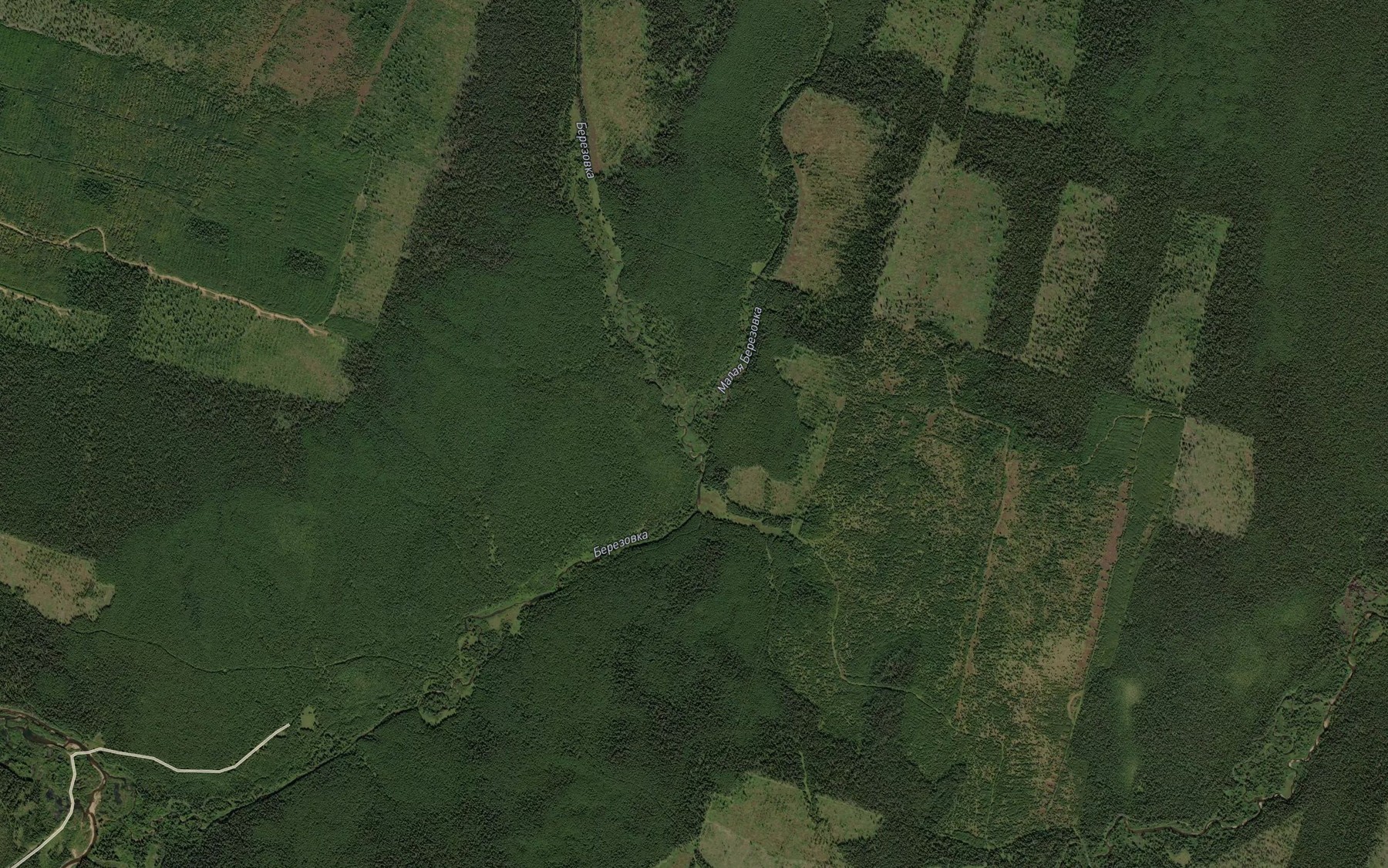 Satellite map of the Malaya Berezovka