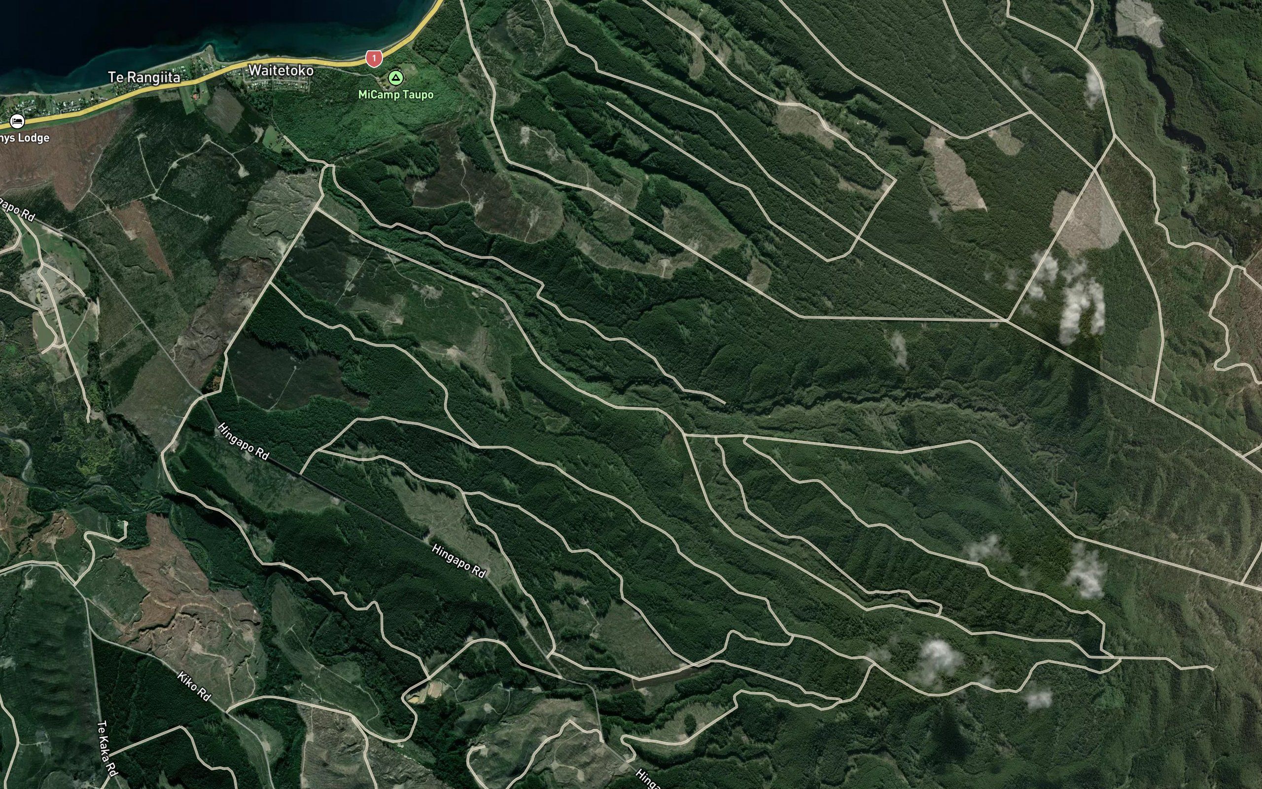 Waitetoko Stream