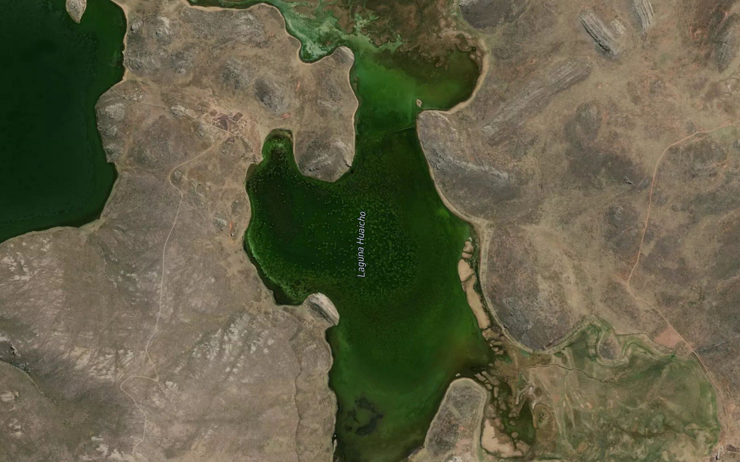 Laguna Huaicho