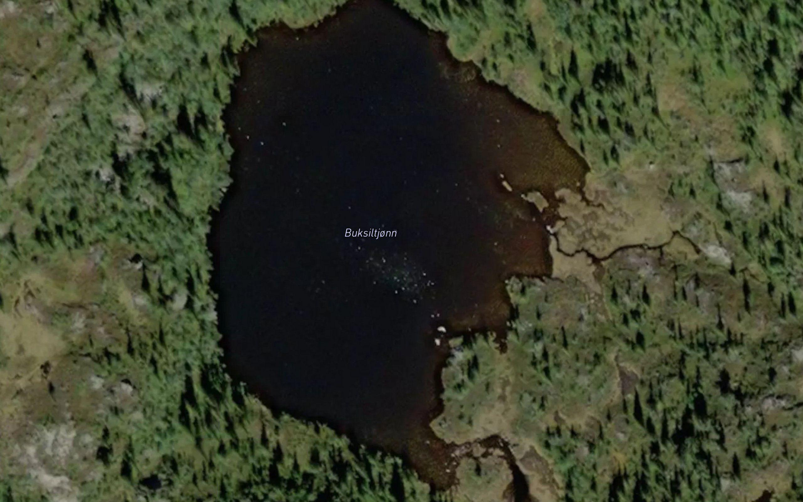 Buksiltjonn