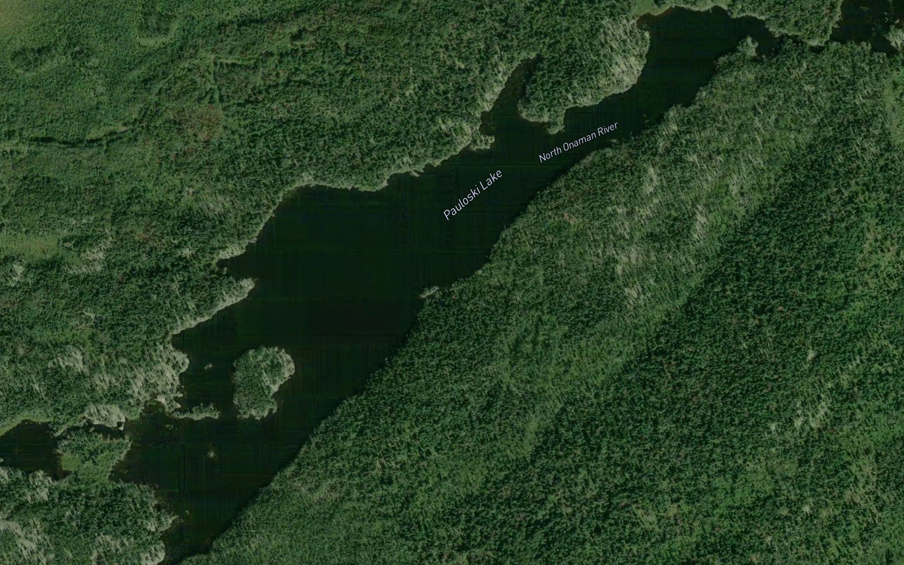Satellite map of the Pauloski Lake