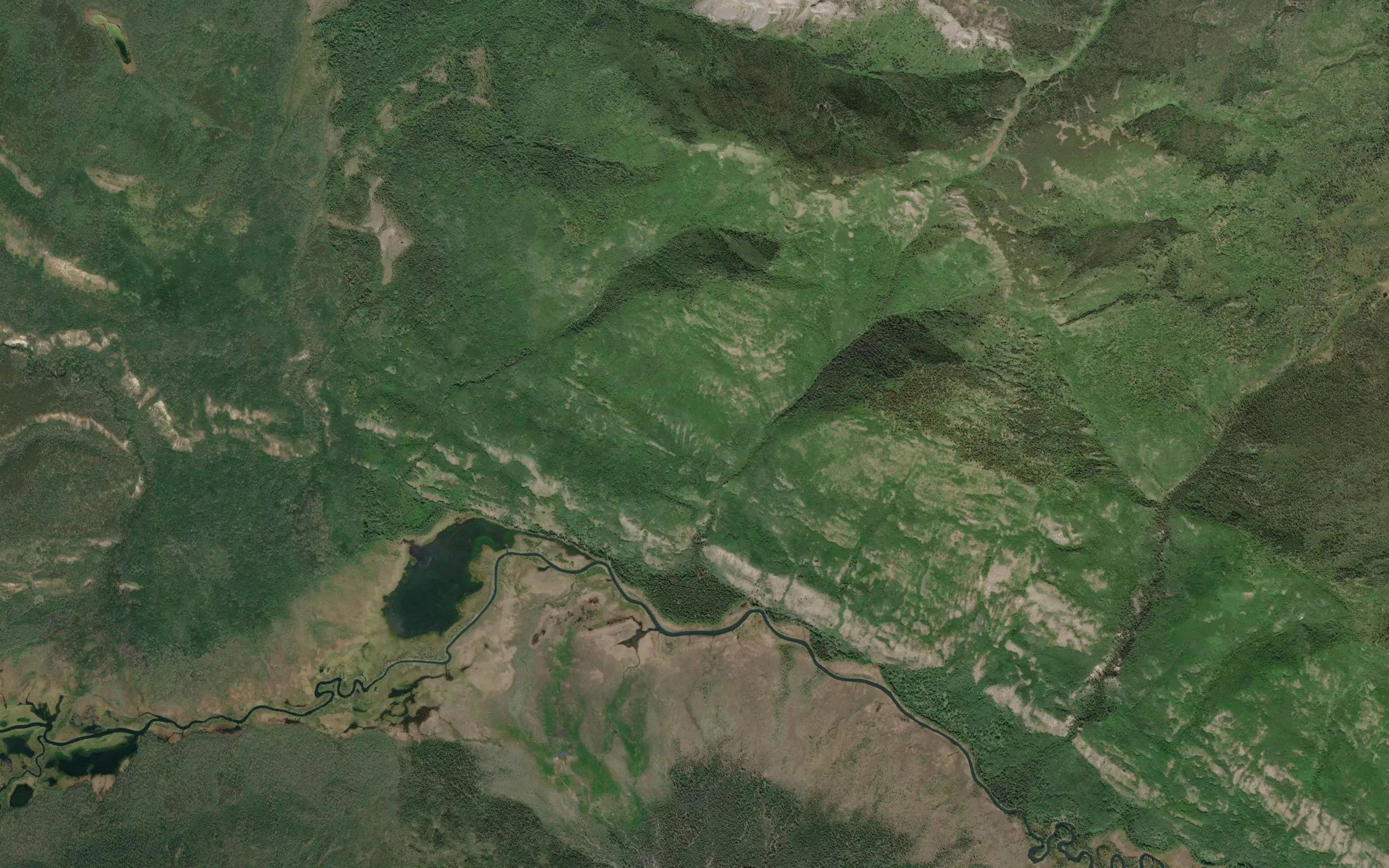 Ramhorn Creek