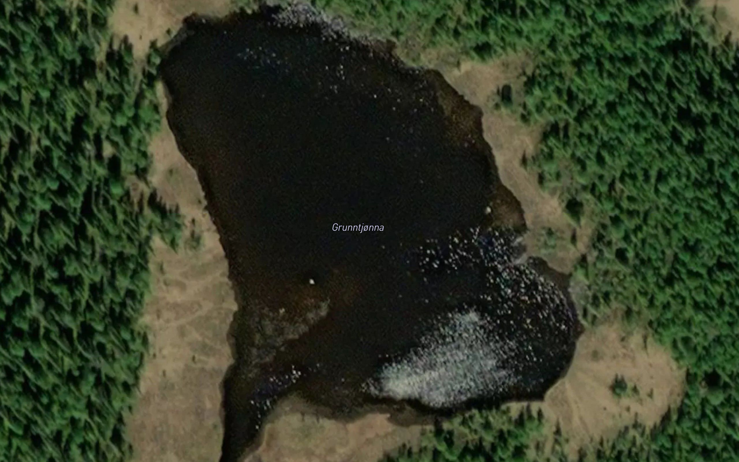 Grunntjorna