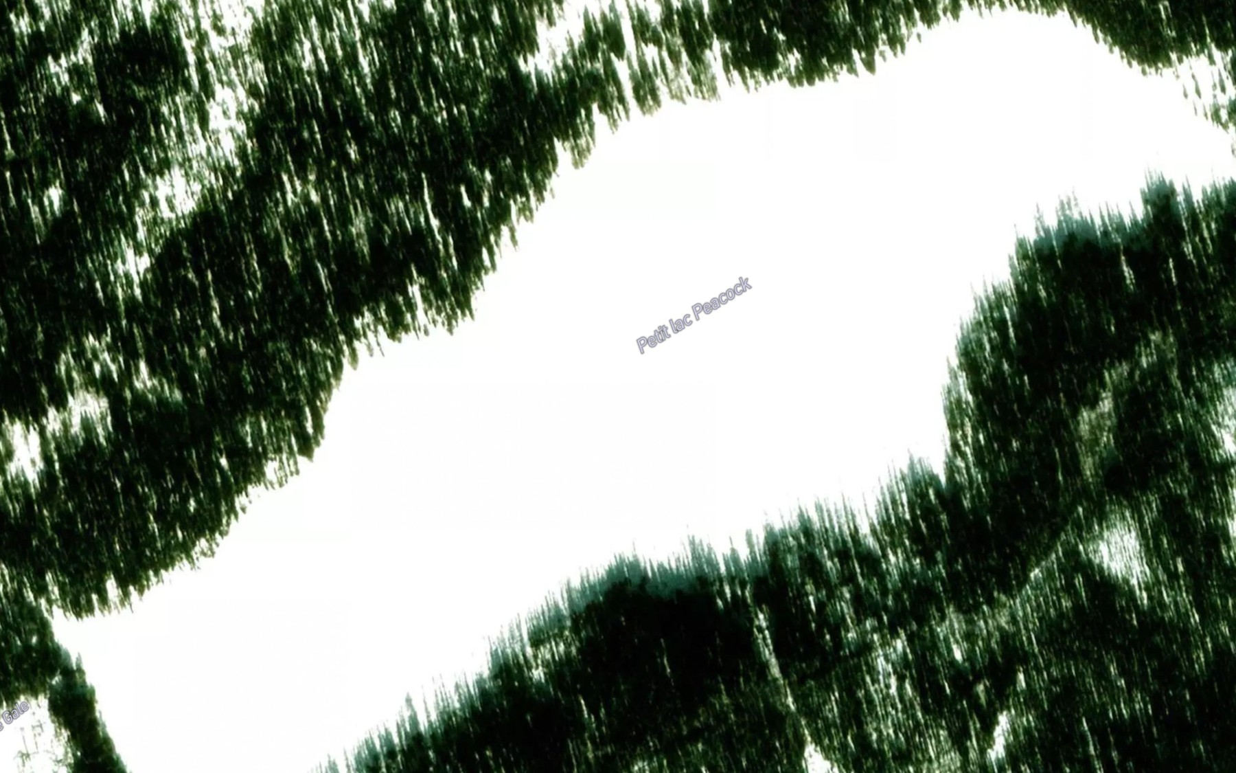 Satellite map of the Petit lac Peacock