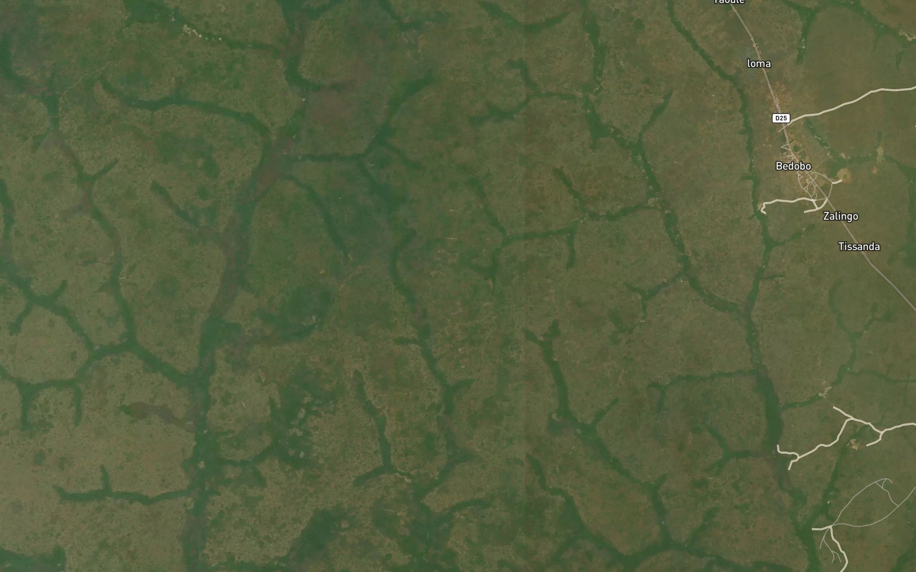 Satellite map of the Mole