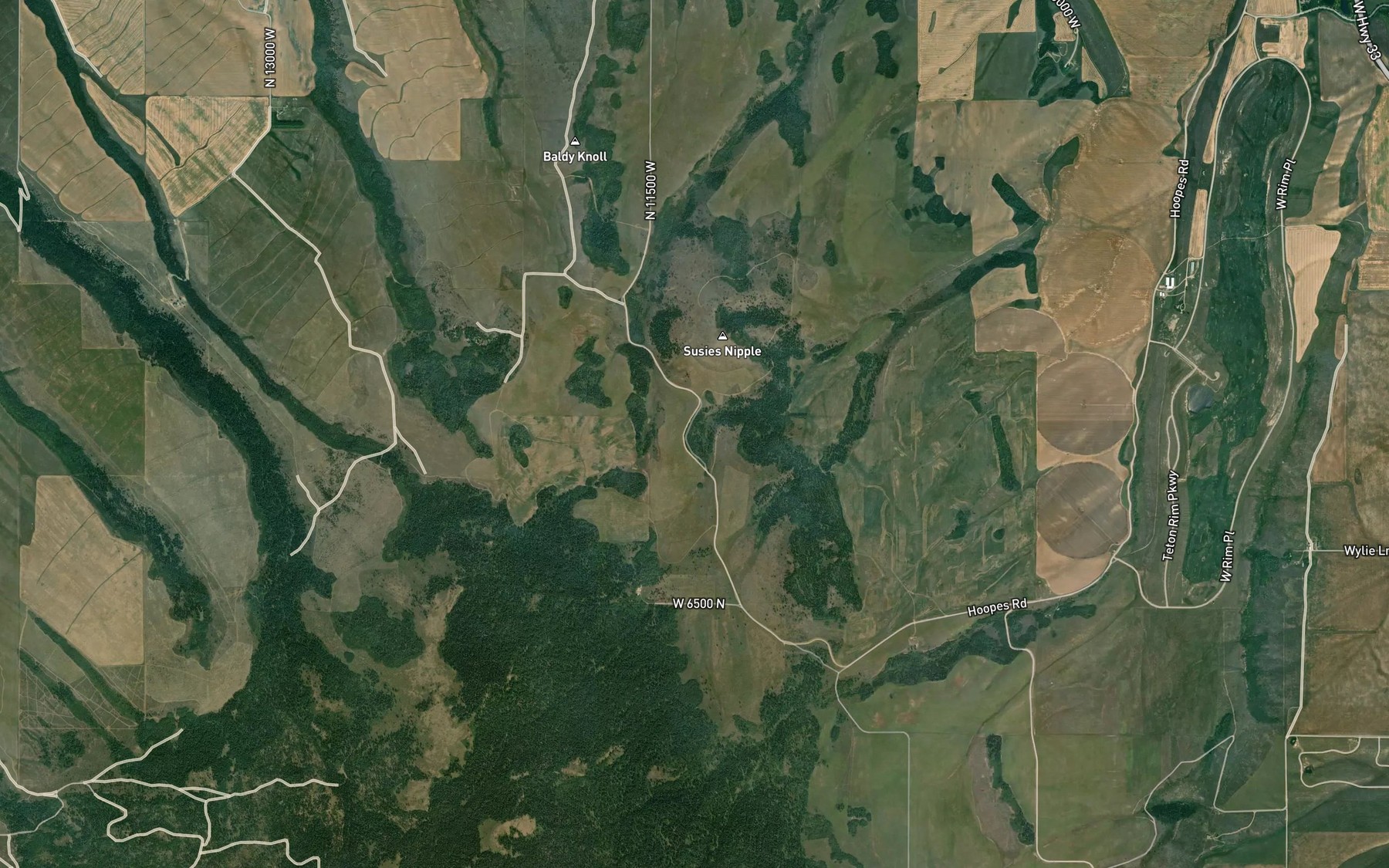 Satellite map of the Neville Spring