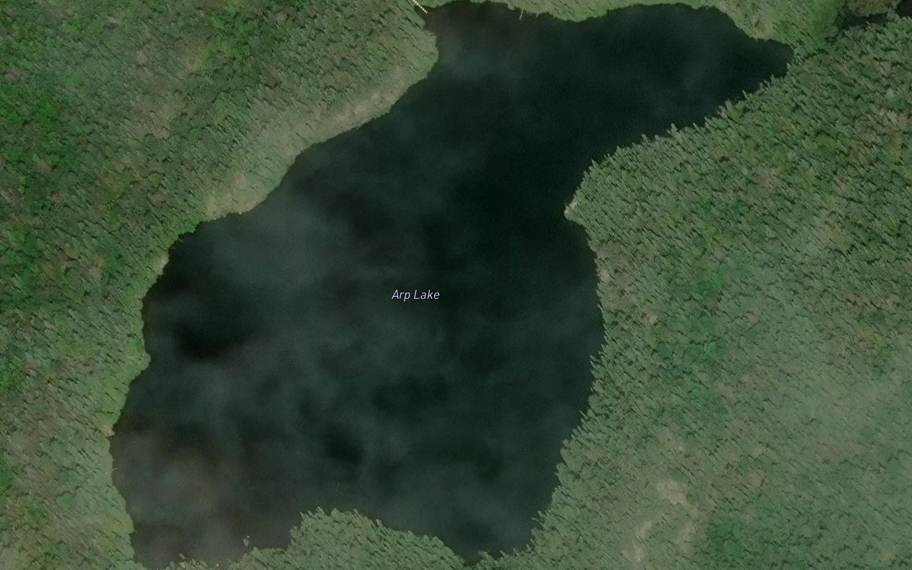 Satellite map of the Arp Lake