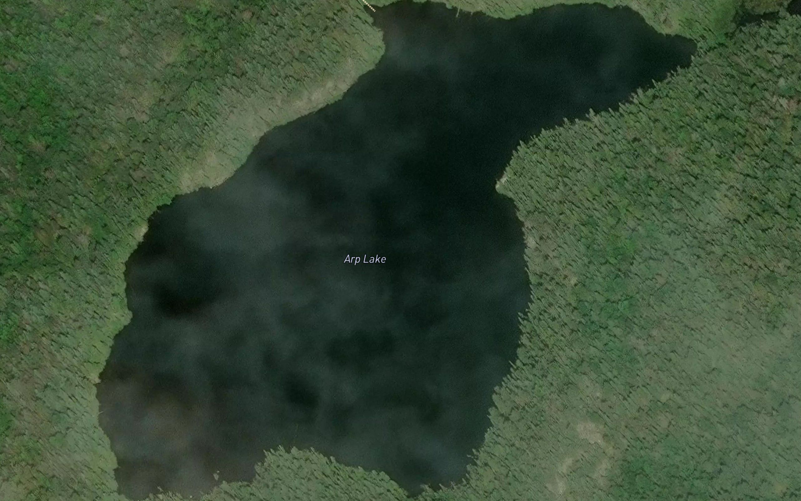Arp Lake