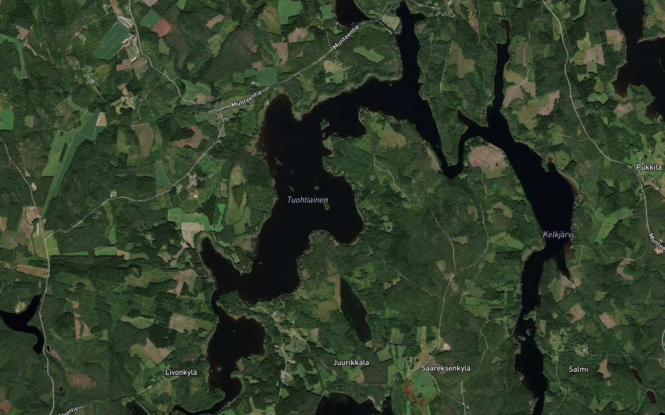 Tuohtiainen