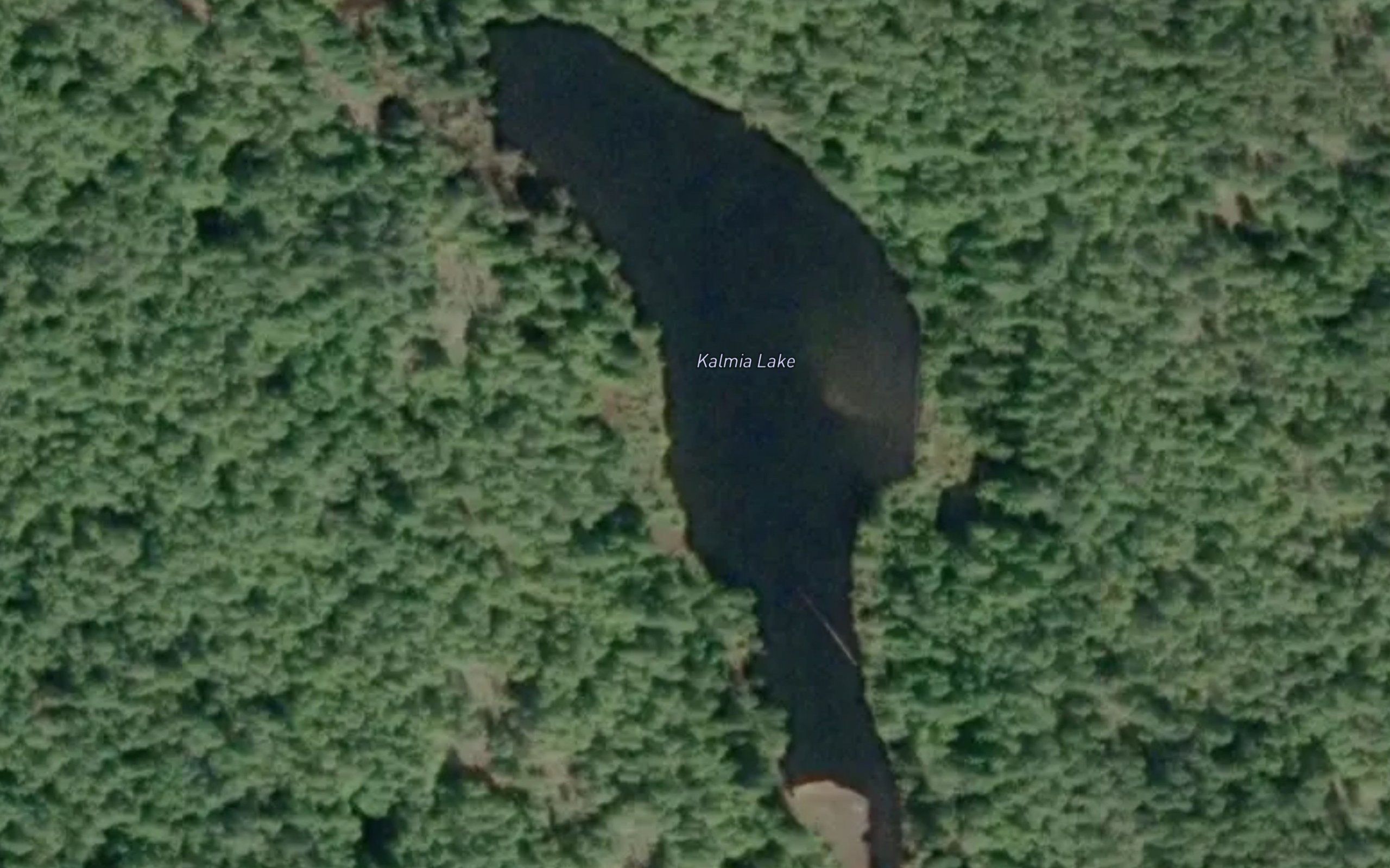 Kalmia Lake