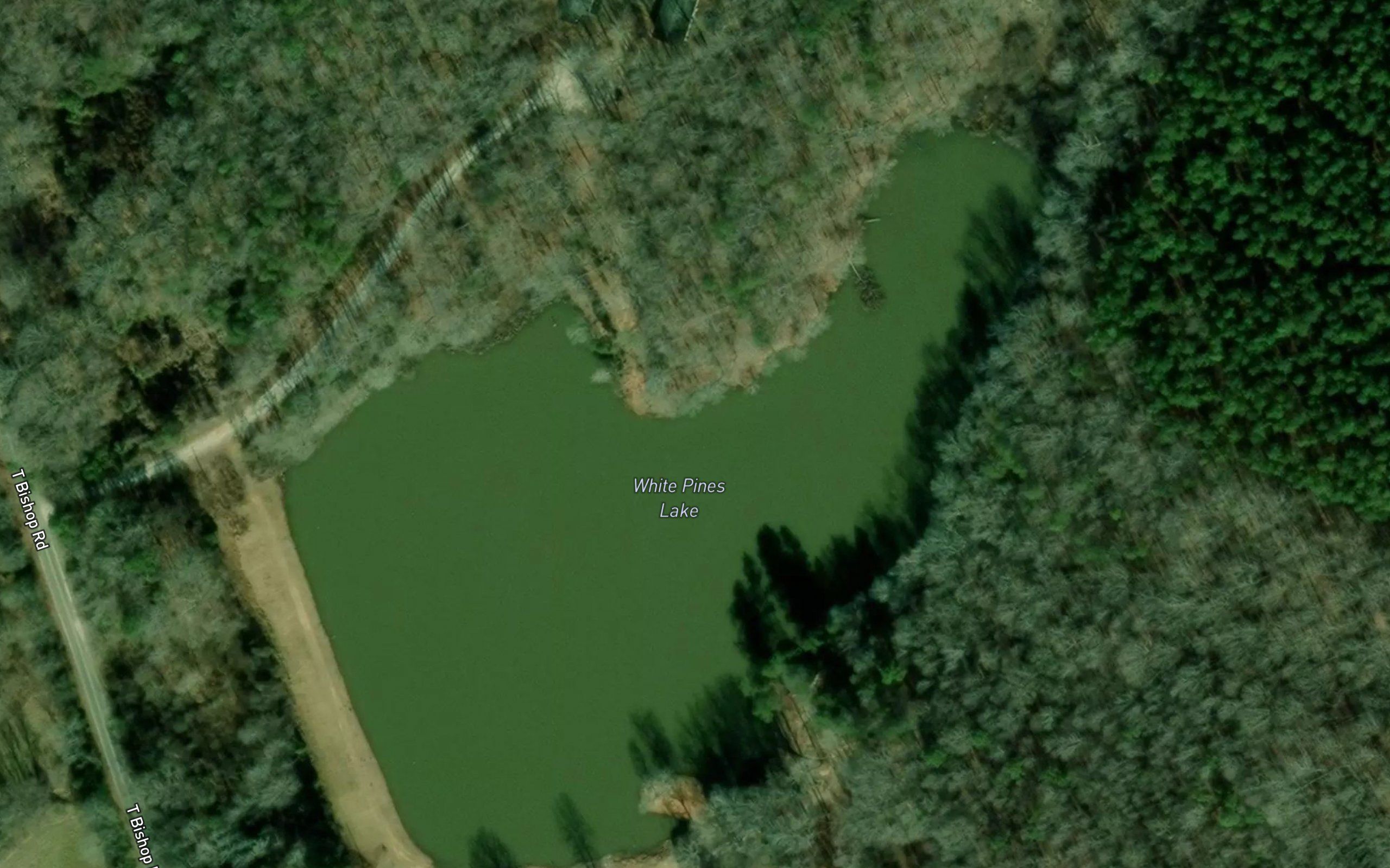 White Pines Lake