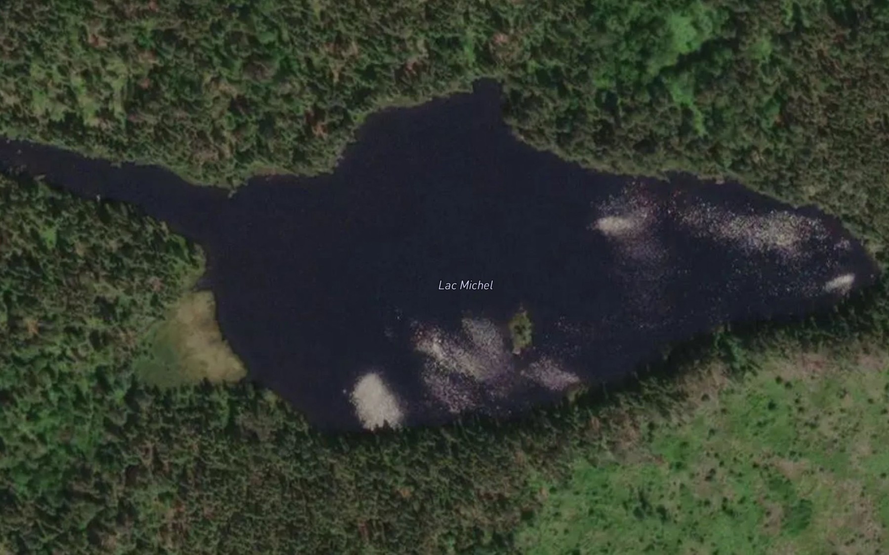 Satellite map of the Lac Michel