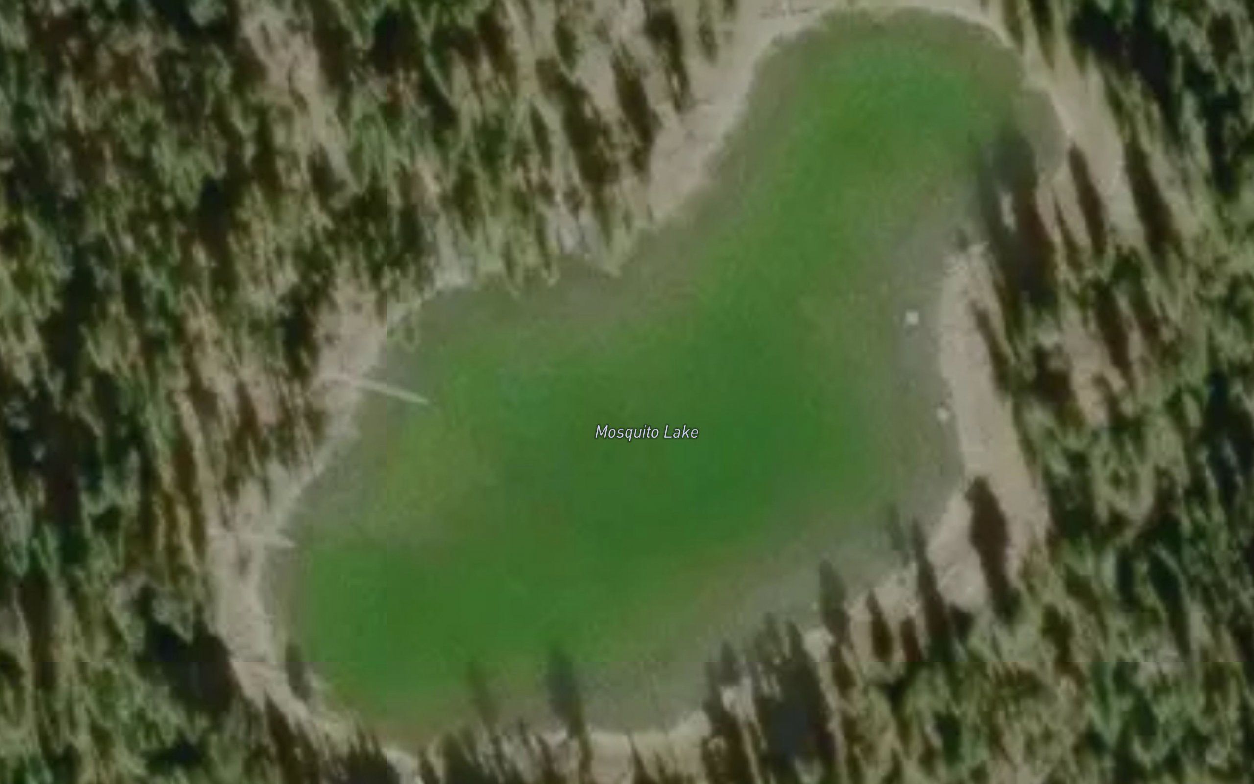 Mosquito Lake
