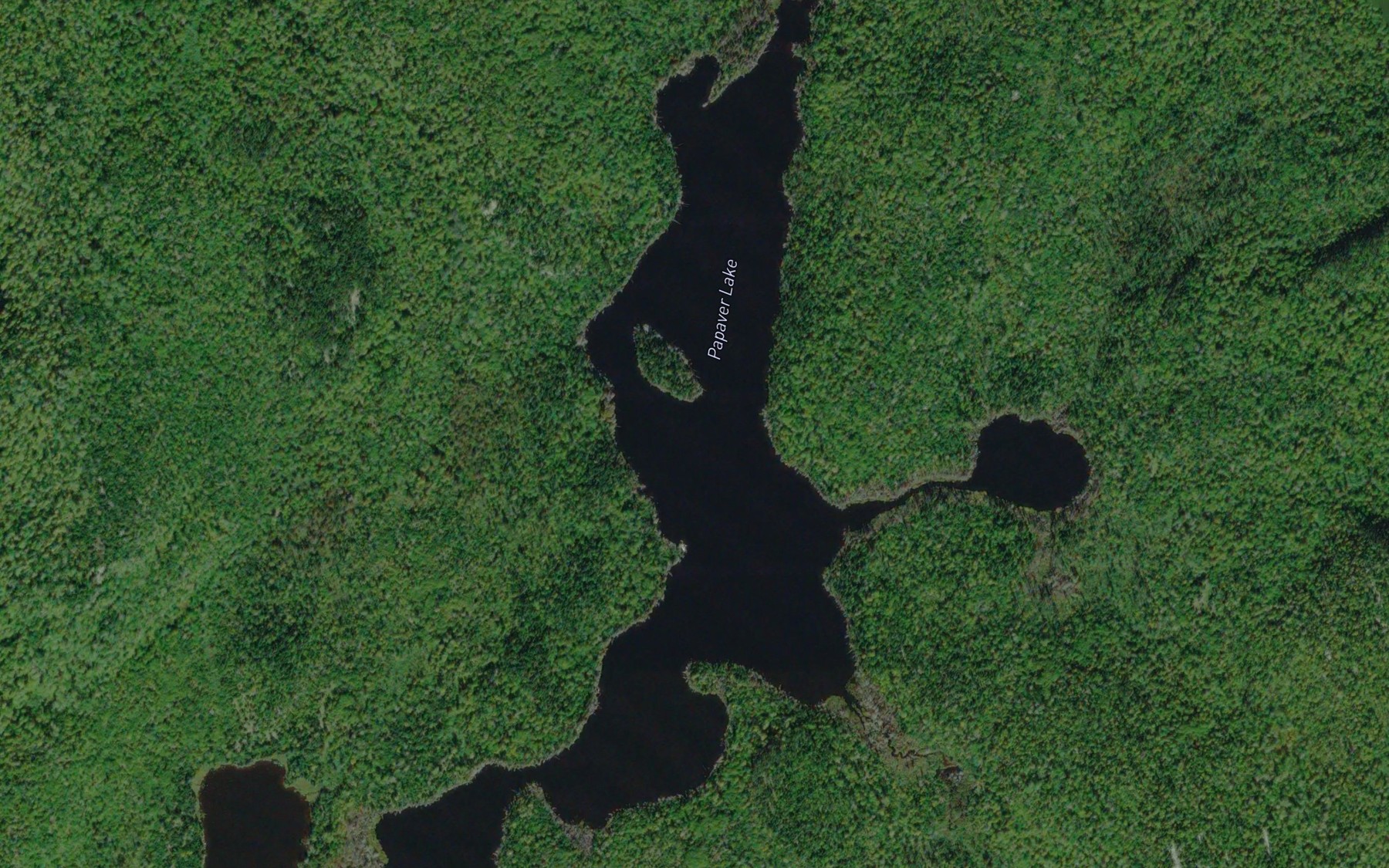 Satellite map of the Papaver Lake