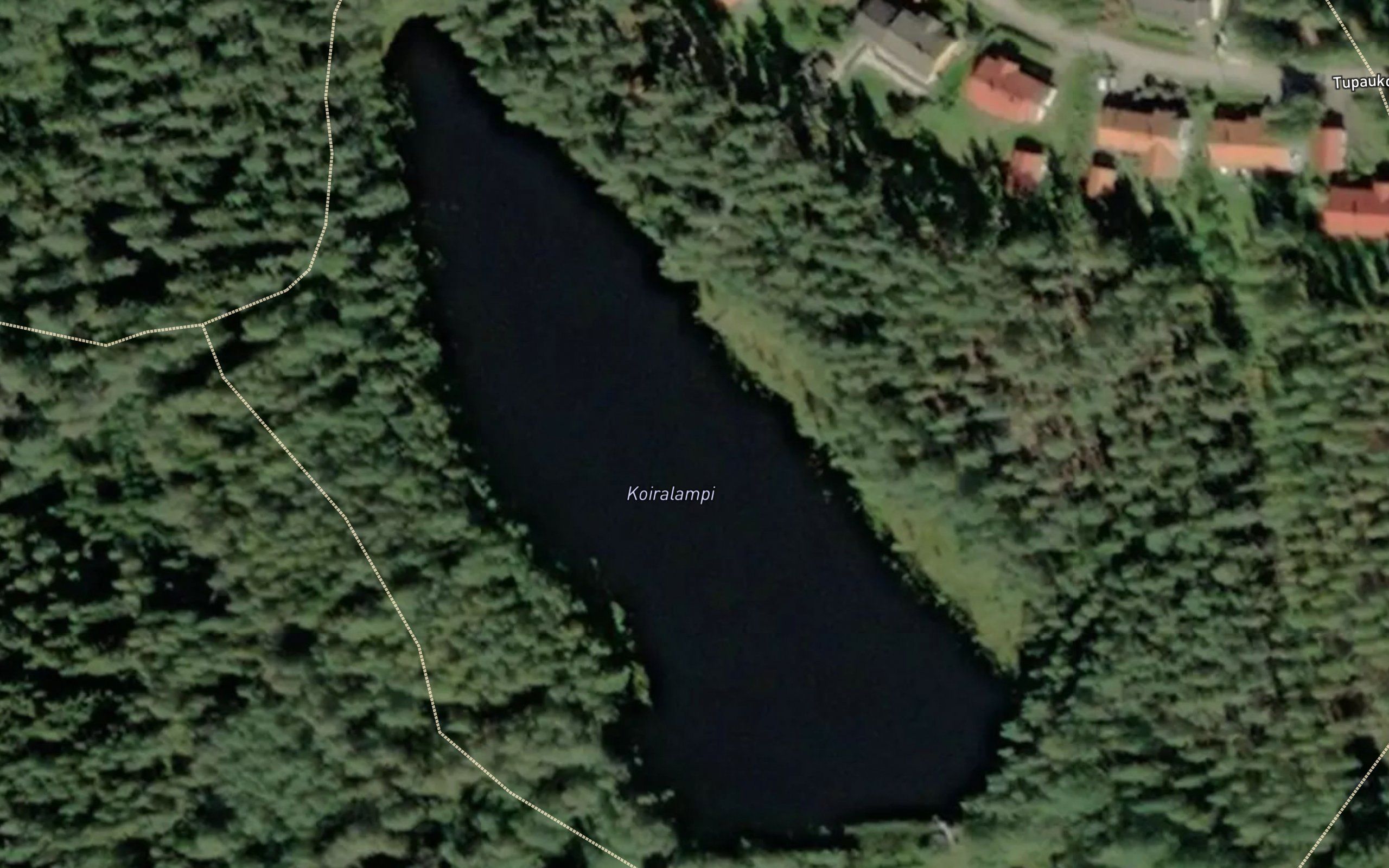 Koiralampi