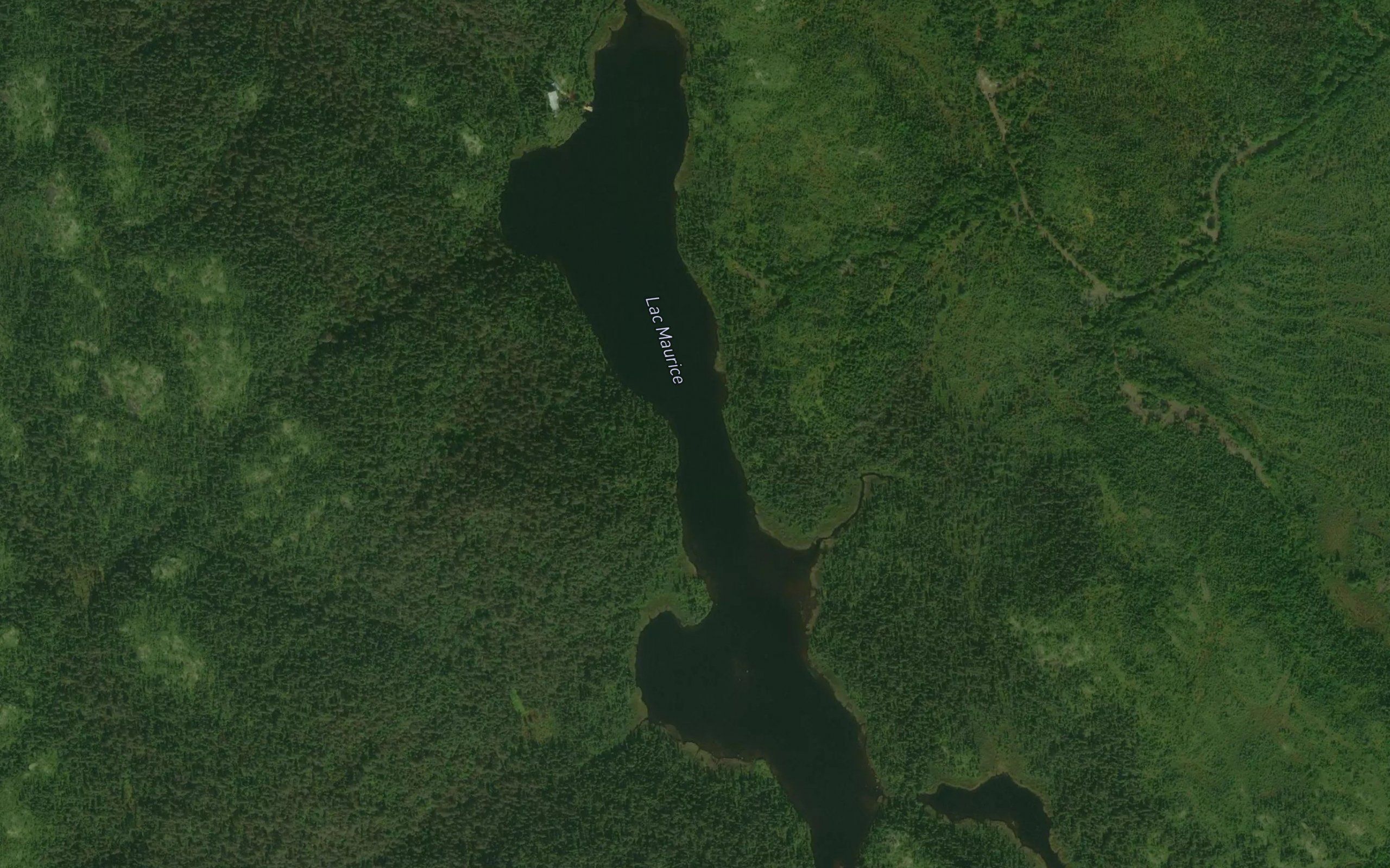 Lac Maurice