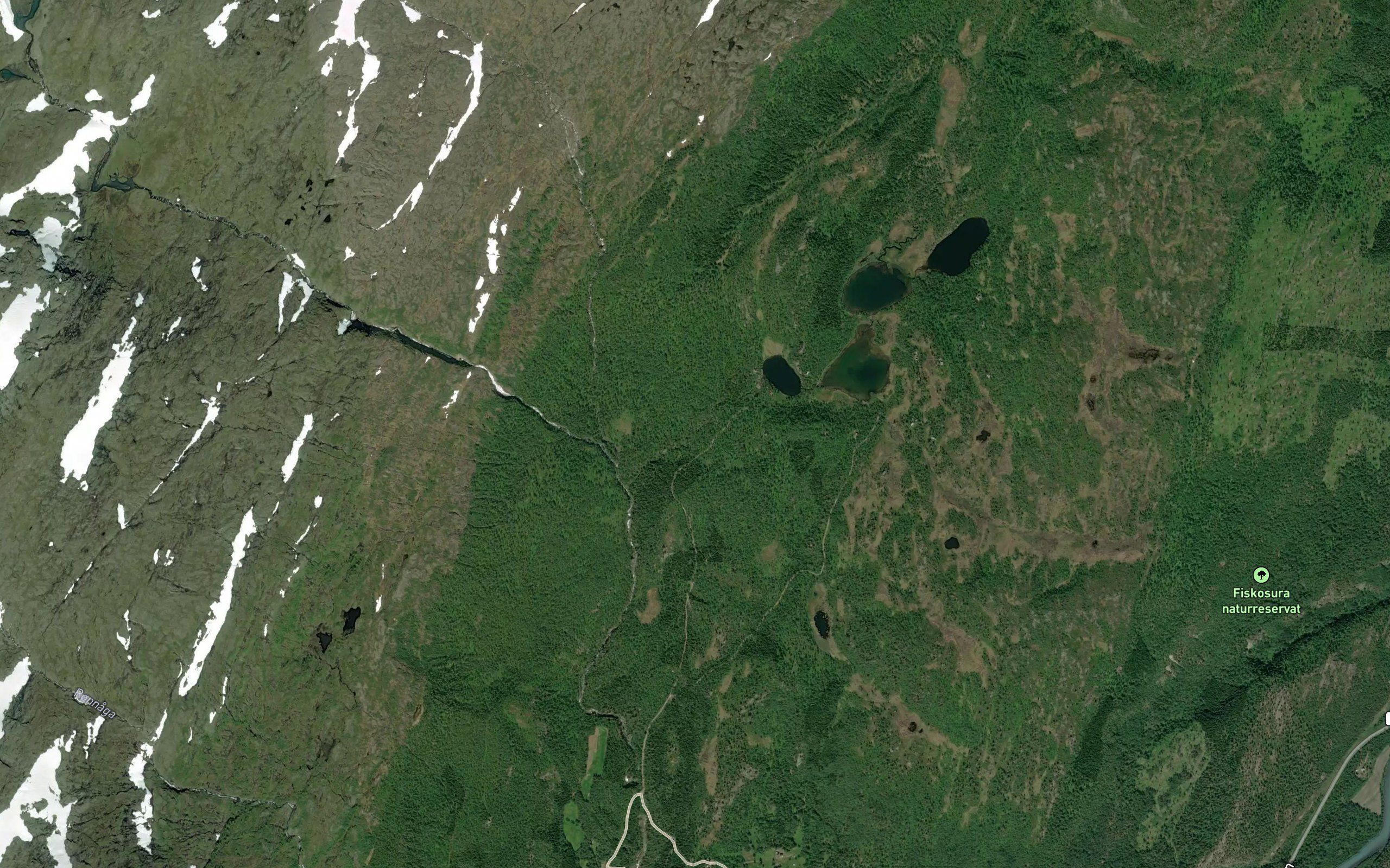 Laksdamelva