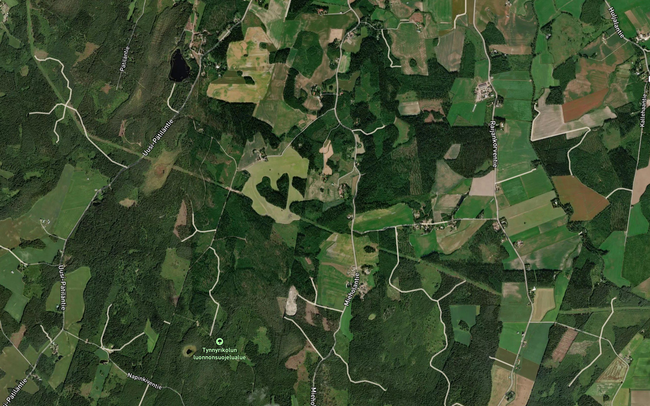 Syrjainoja