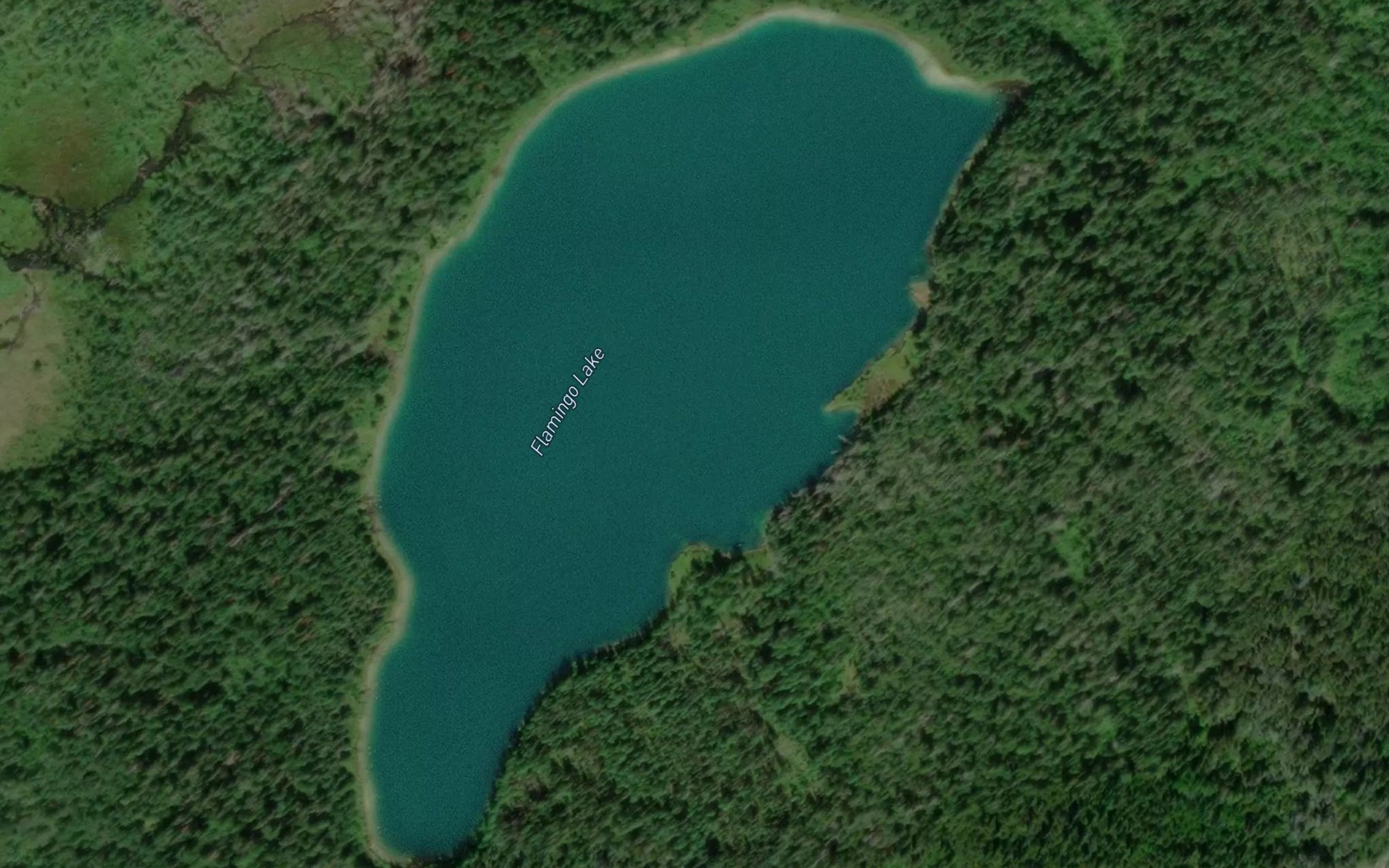 Satellite map of the Flamingo Lake
