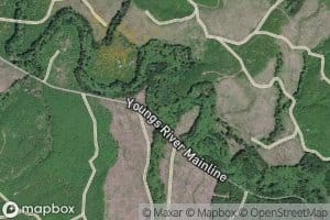 Bayney Creek