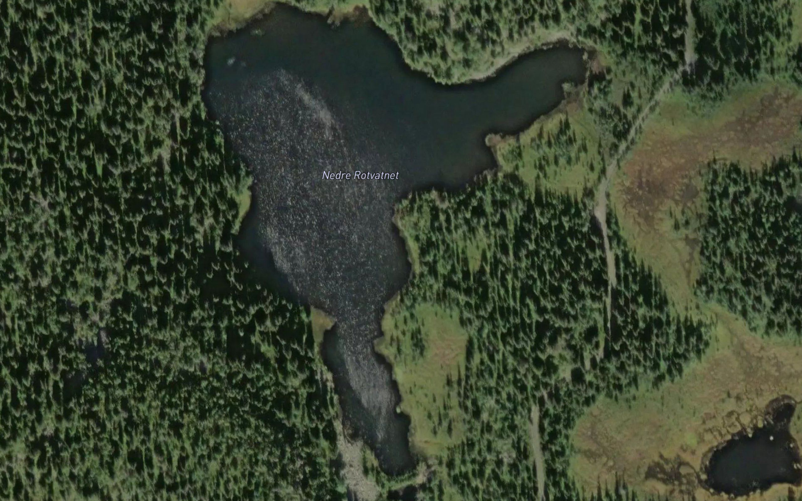Rotvatnet,nedre