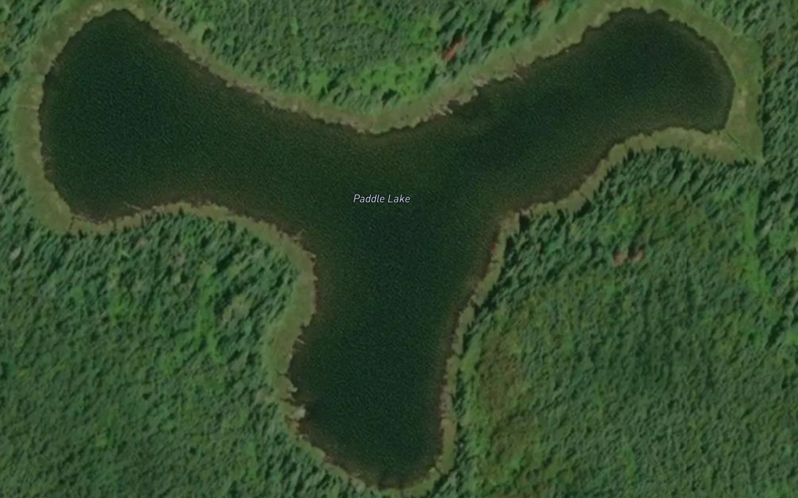 Paddle Lake