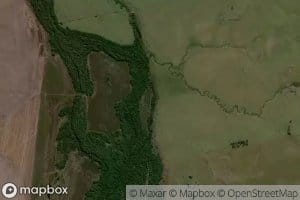 Arroyo de las Flores