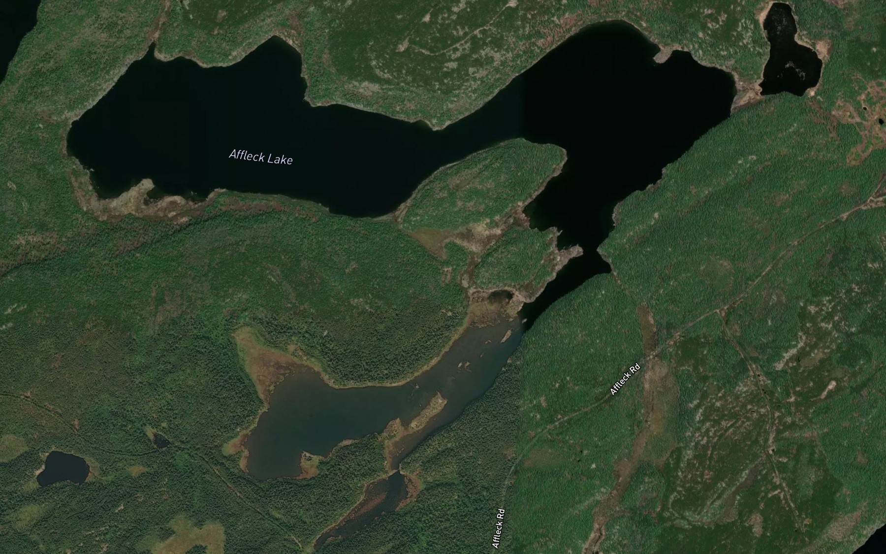 Satellite map of the Affleck Lake