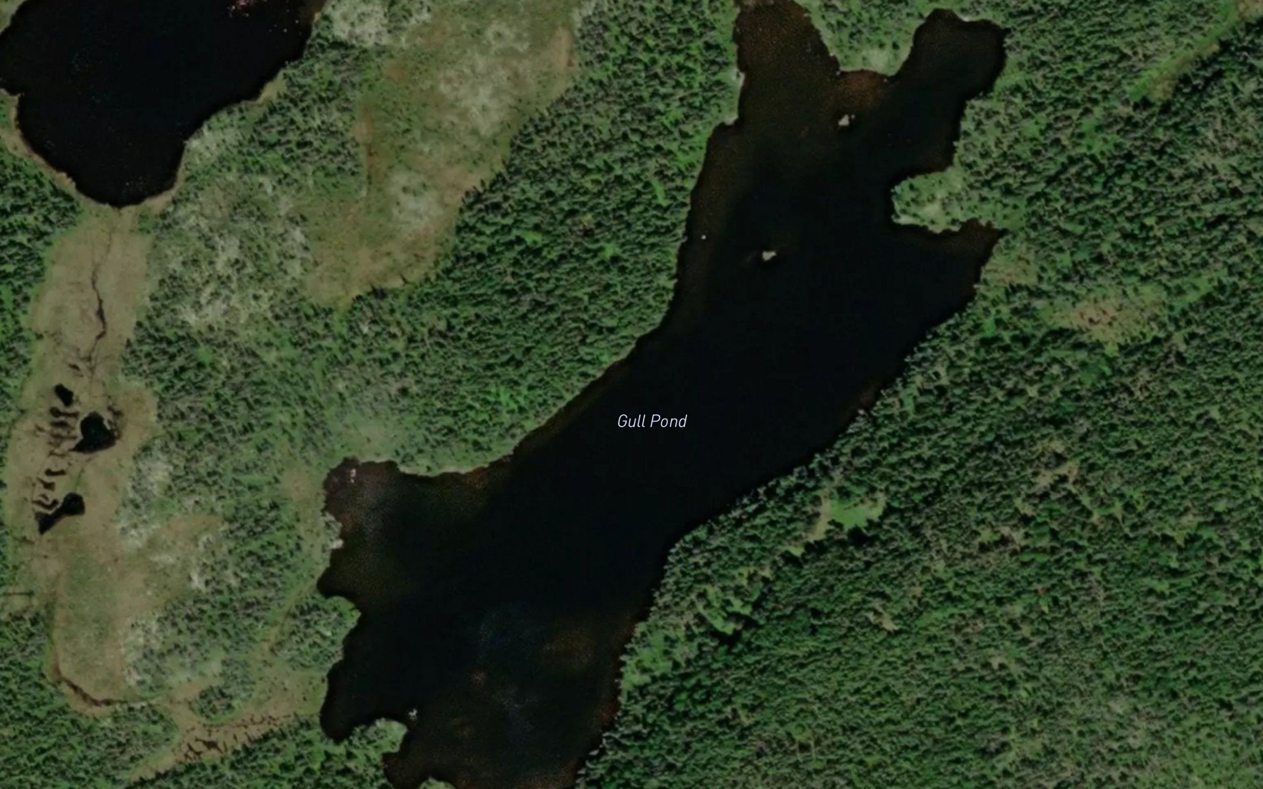 Gull Pond