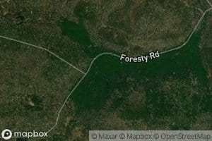 Muddy Fork