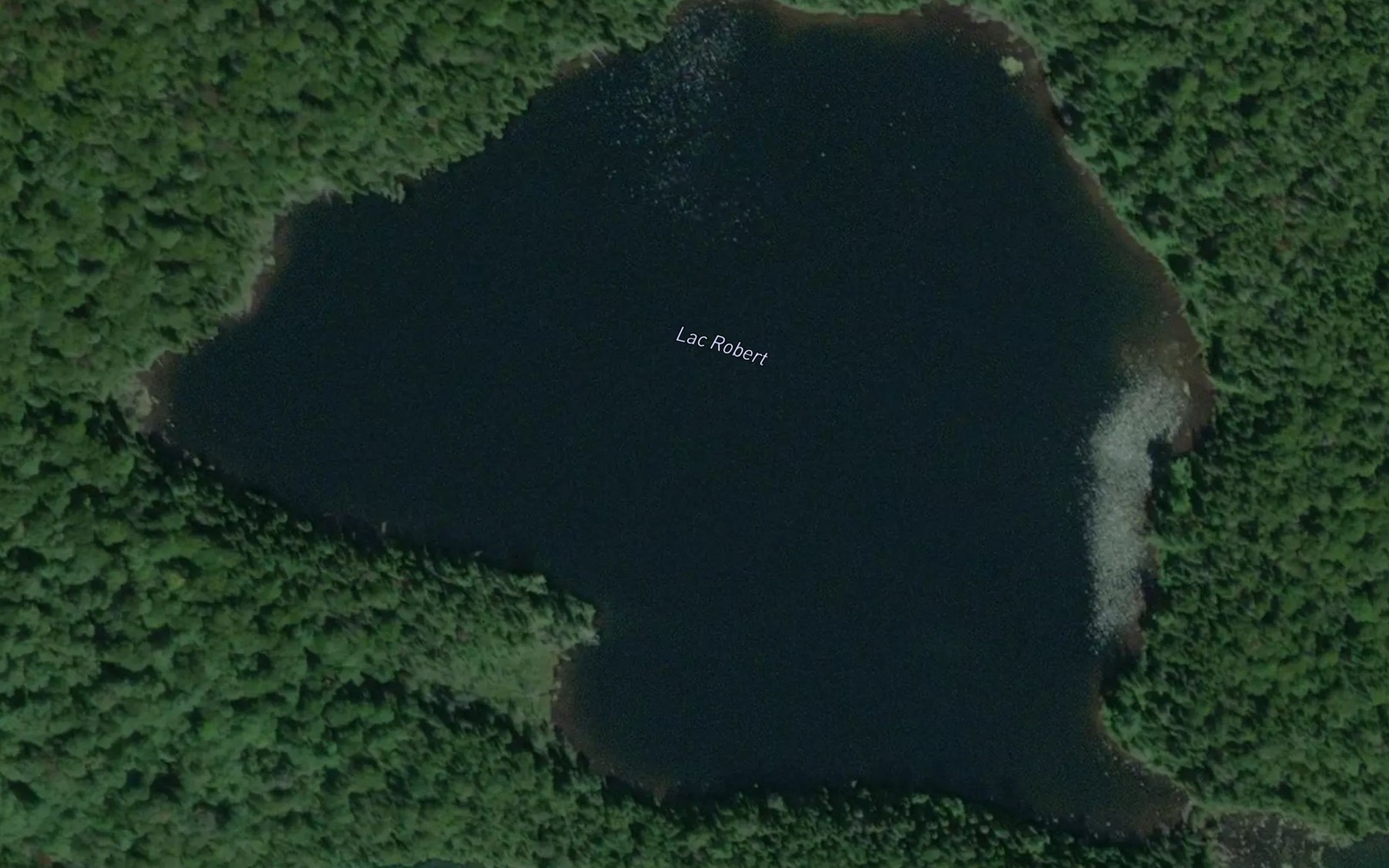 Satellite map of the Lac Robert