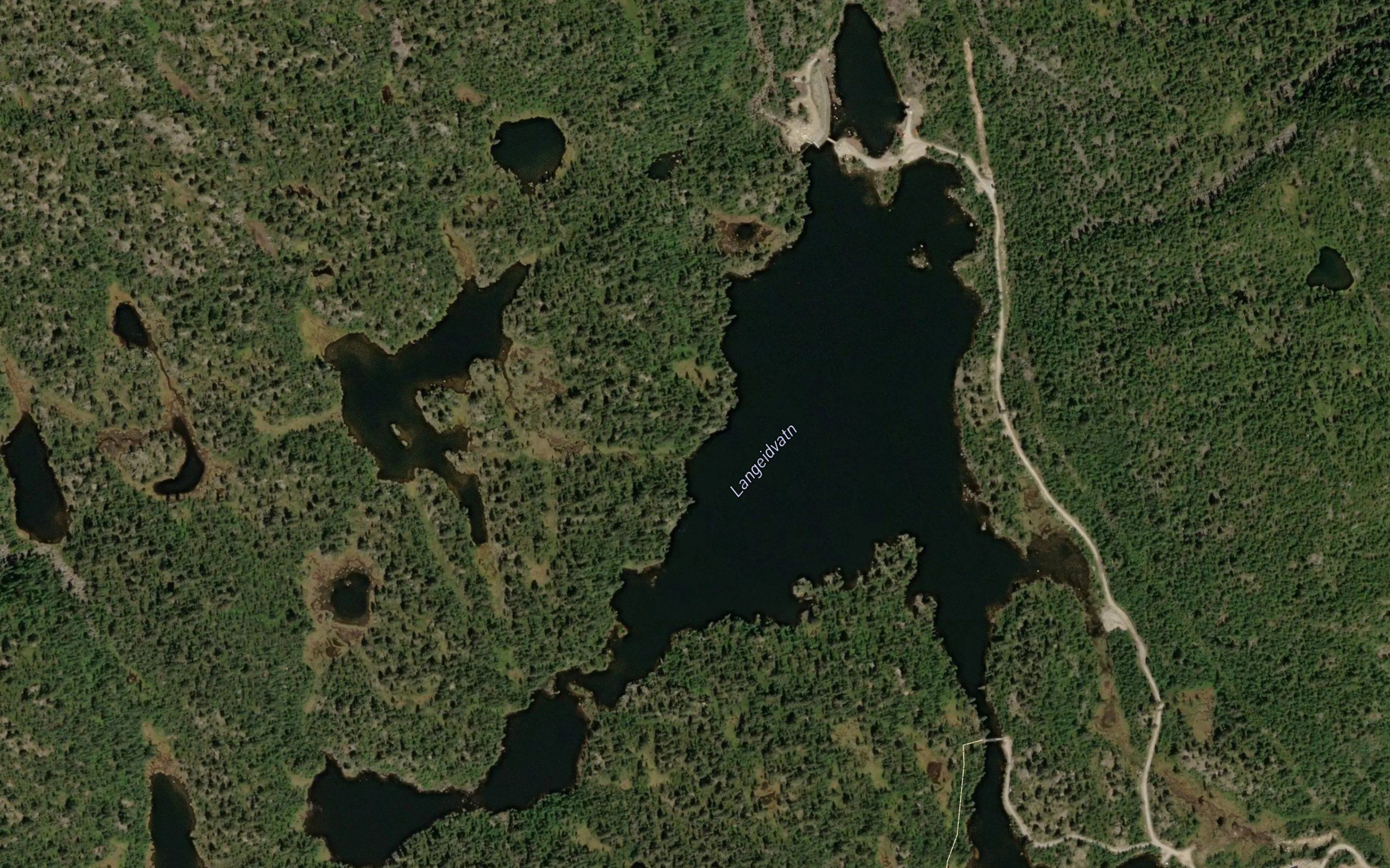 Vadtjorn,nedre