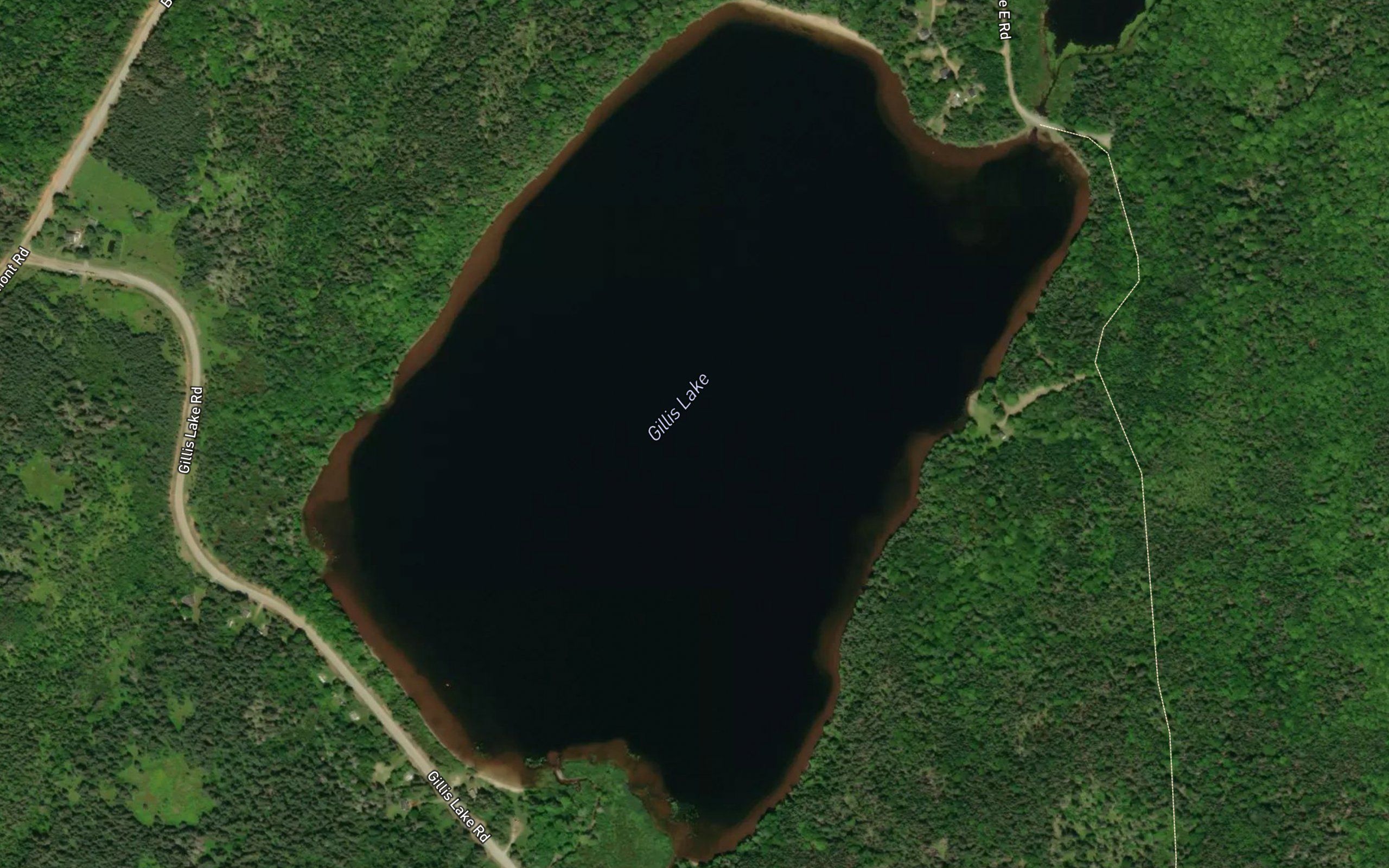 Gillis Lake