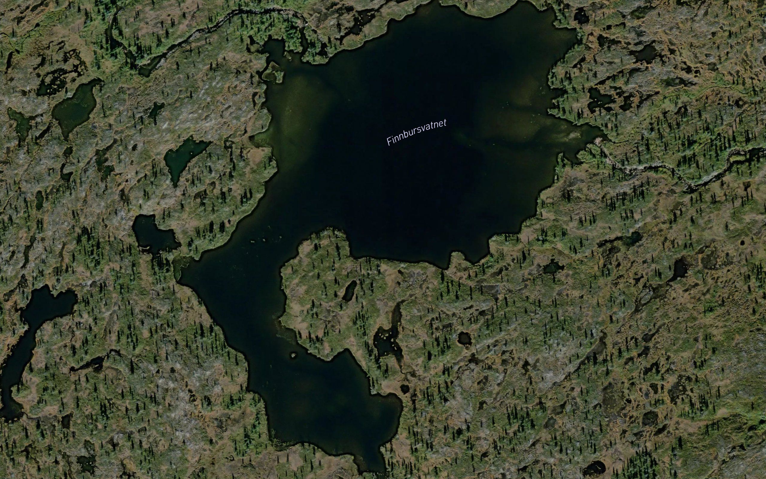 Finnbursvatnet