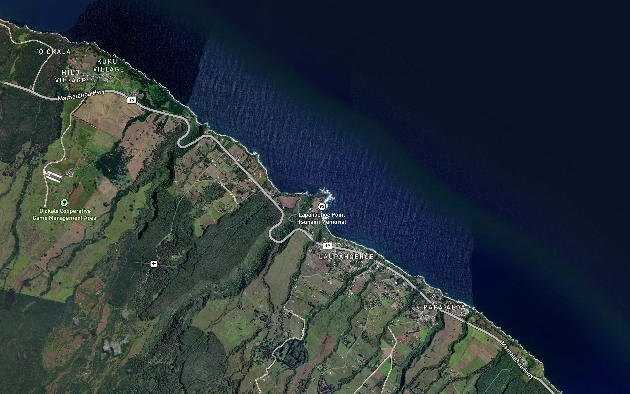 Laupahoehoe Stream