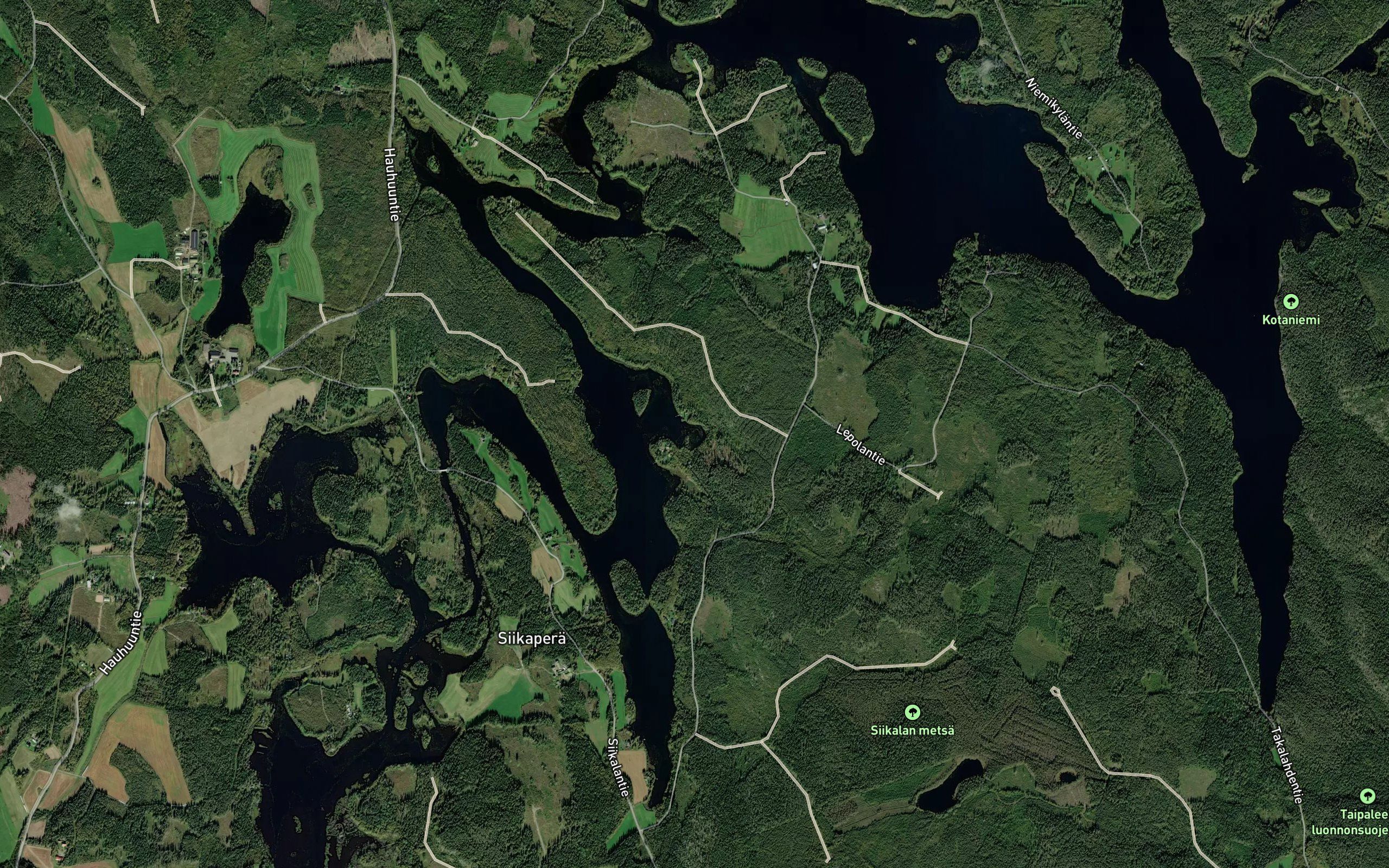 Sammakkolahti