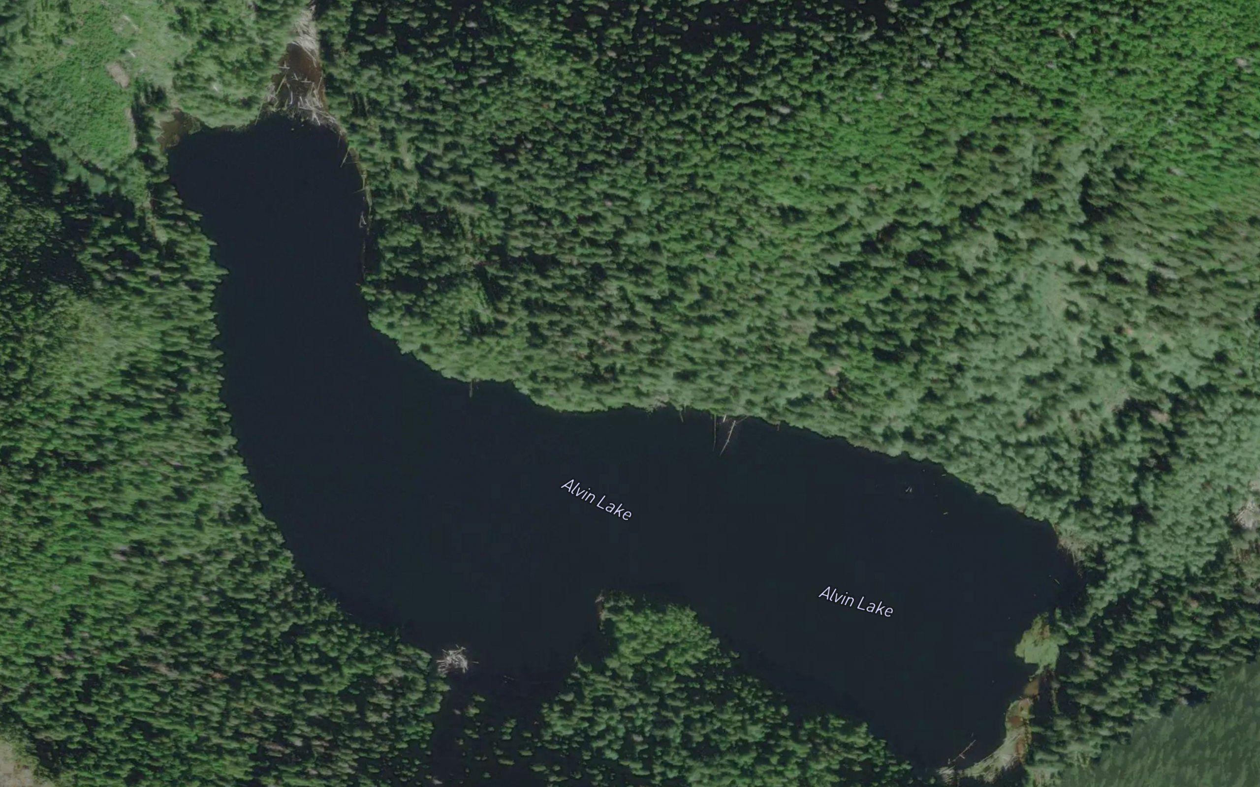 Alvin Lake