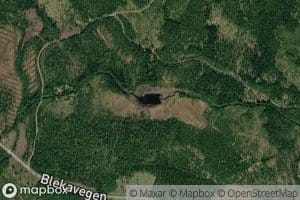 Vivelstjernet