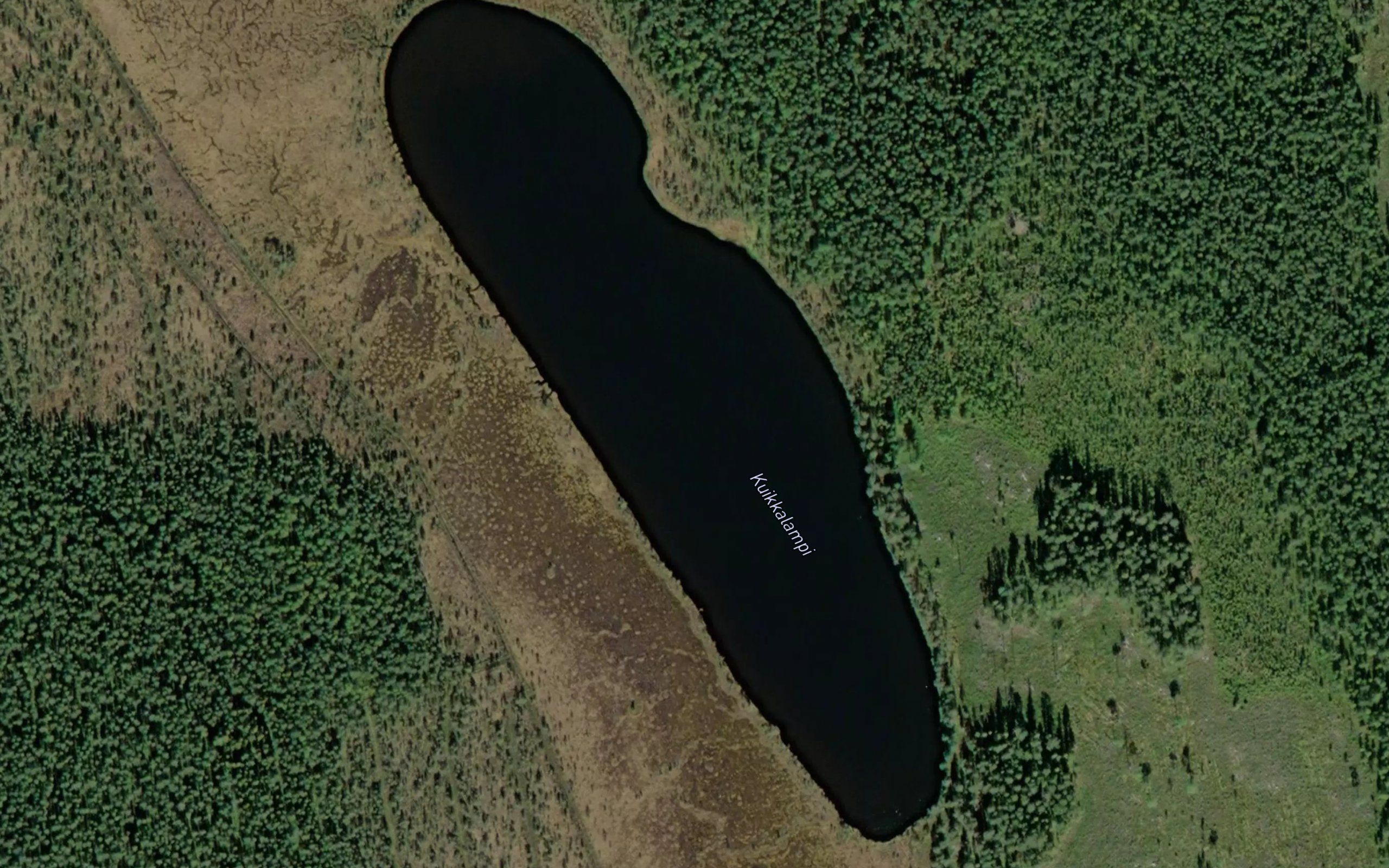 Kuikkalampi