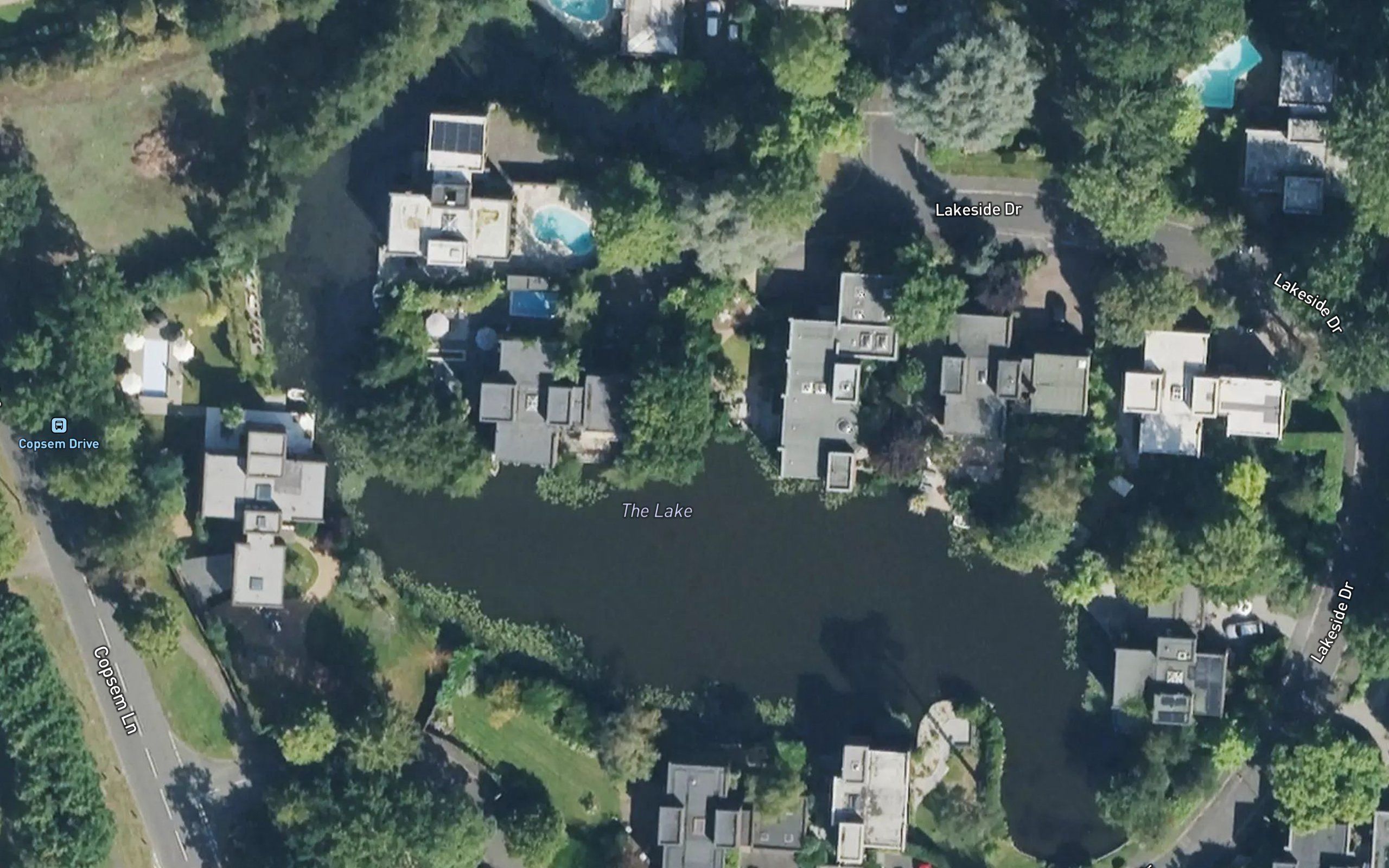 The Lake