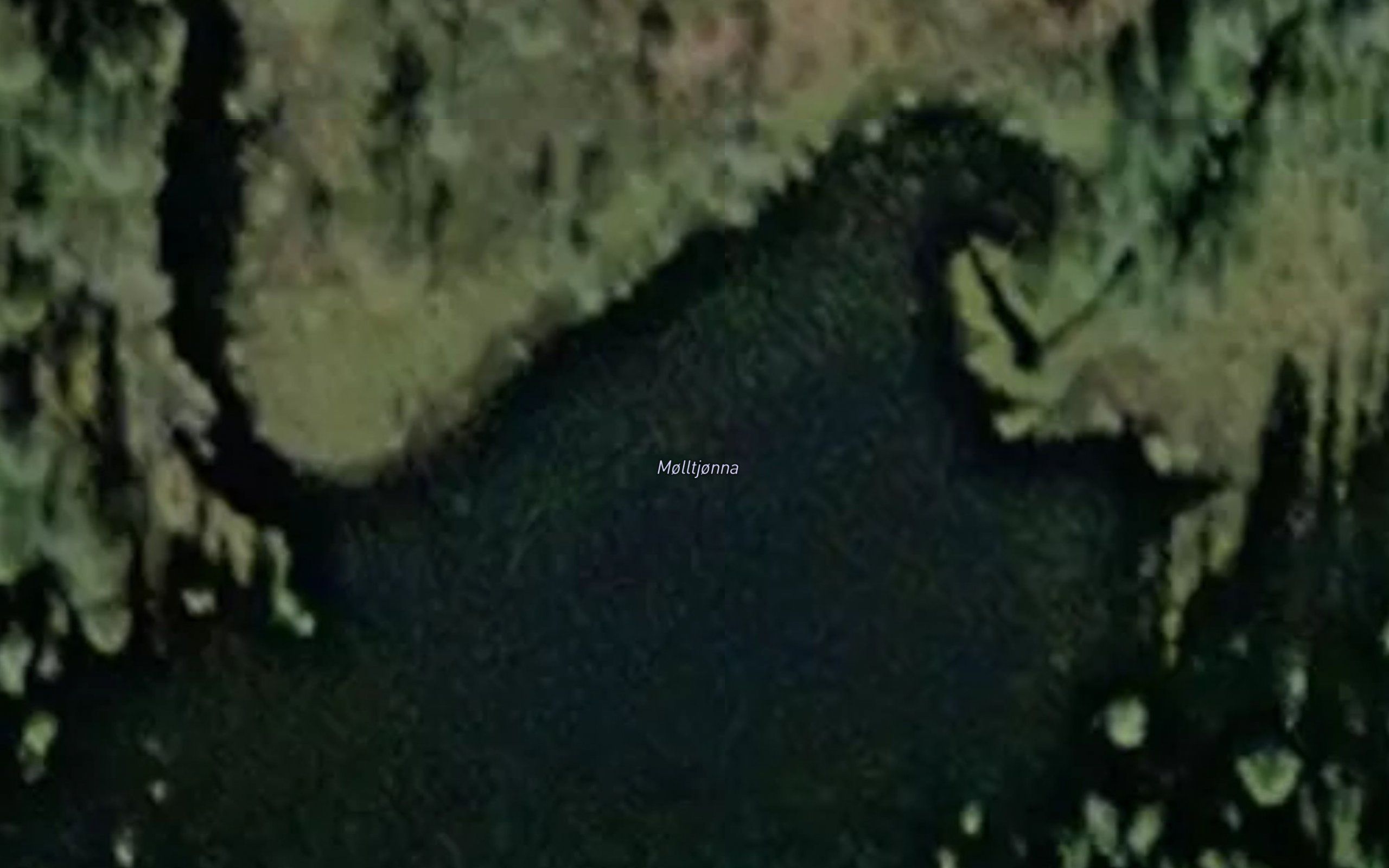 Molntjorna
