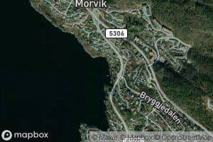 Morviki