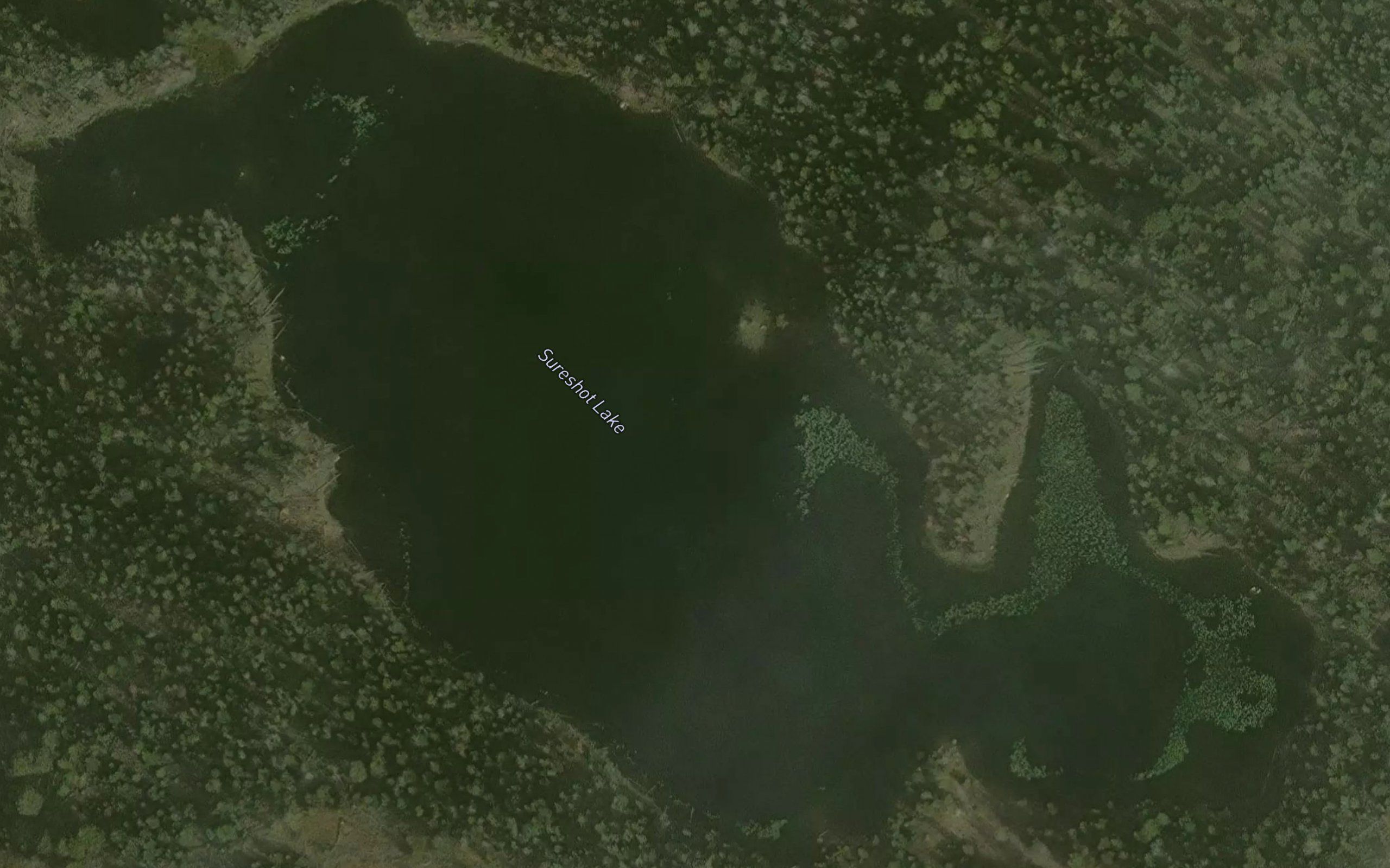 Sureshot Lake