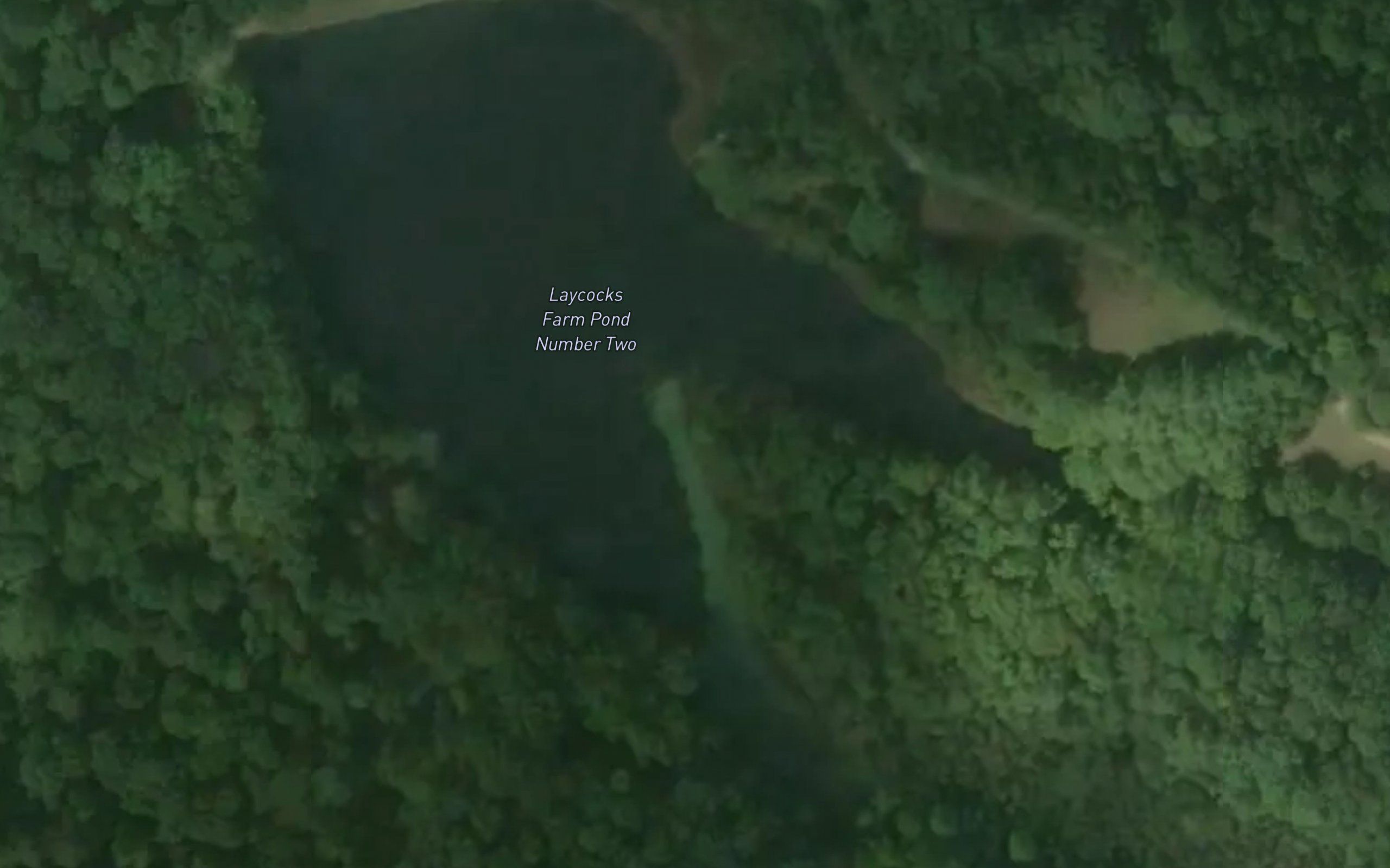 Laycocks Farm Pond Number Two