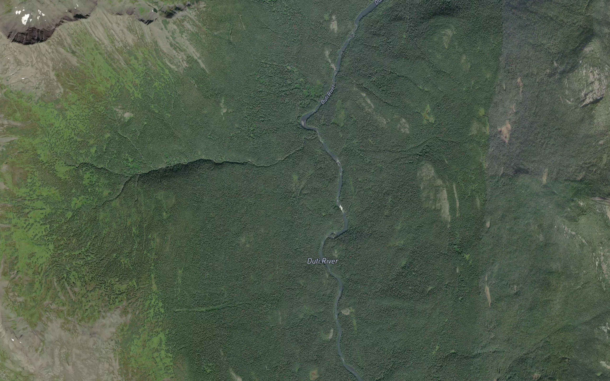 Taylor Creek